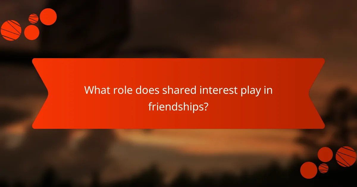 What role does shared interest play in friendships?