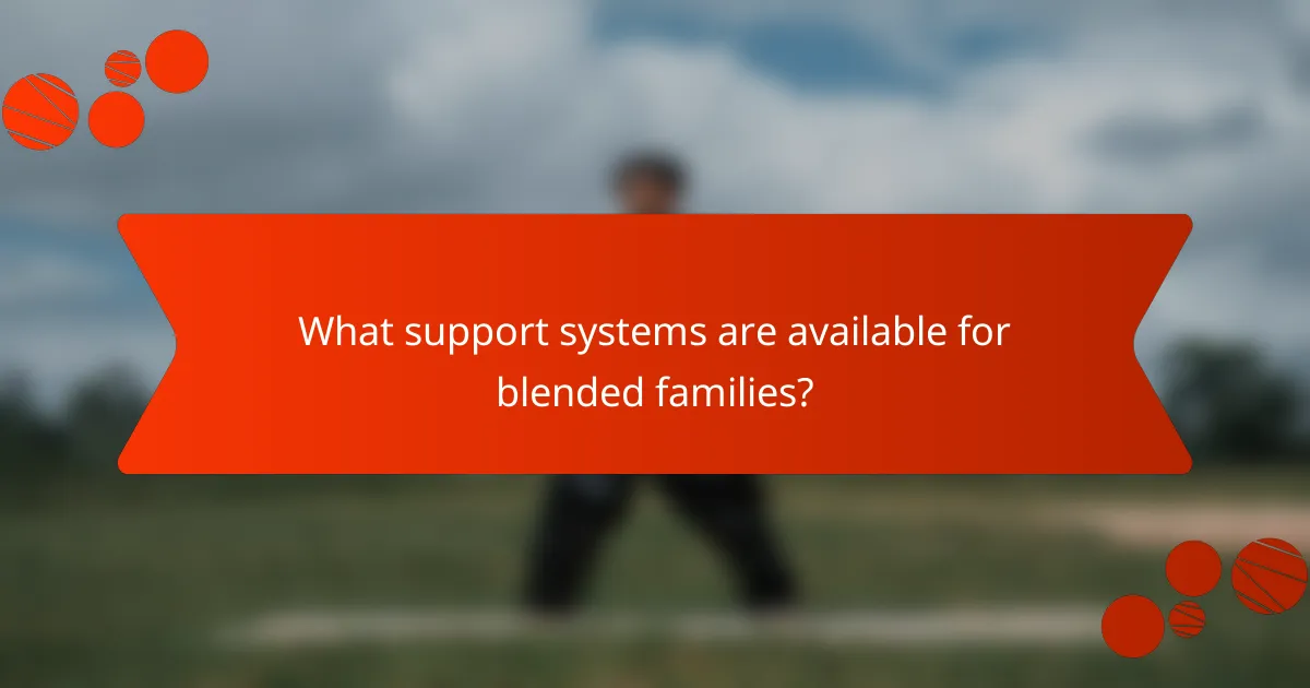 What support systems are available for blended families?